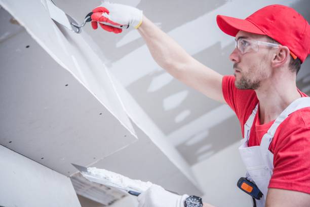 Best Fire-Damaged Drywall Repair  in Annandale, VA